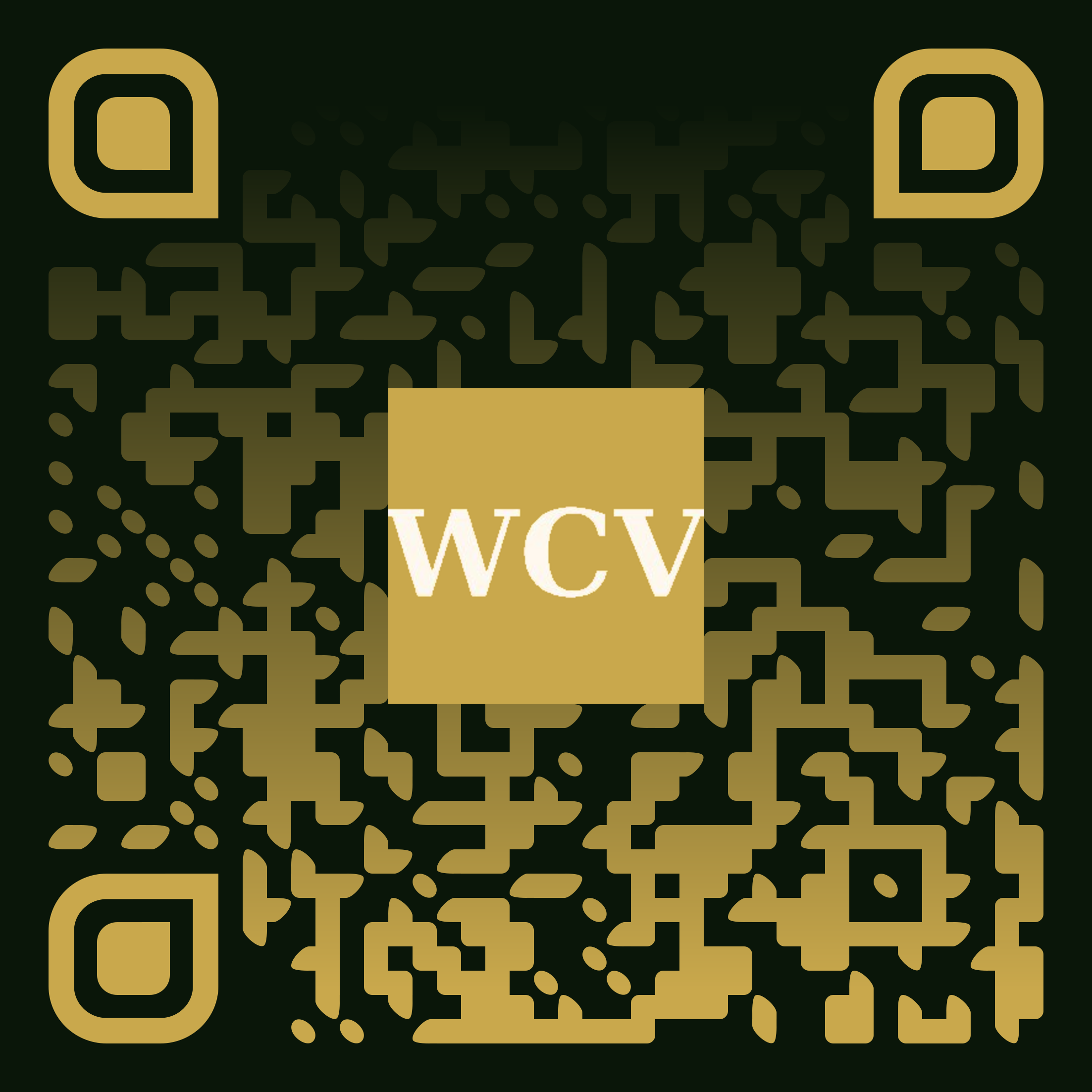 Scan to pay for Copy System