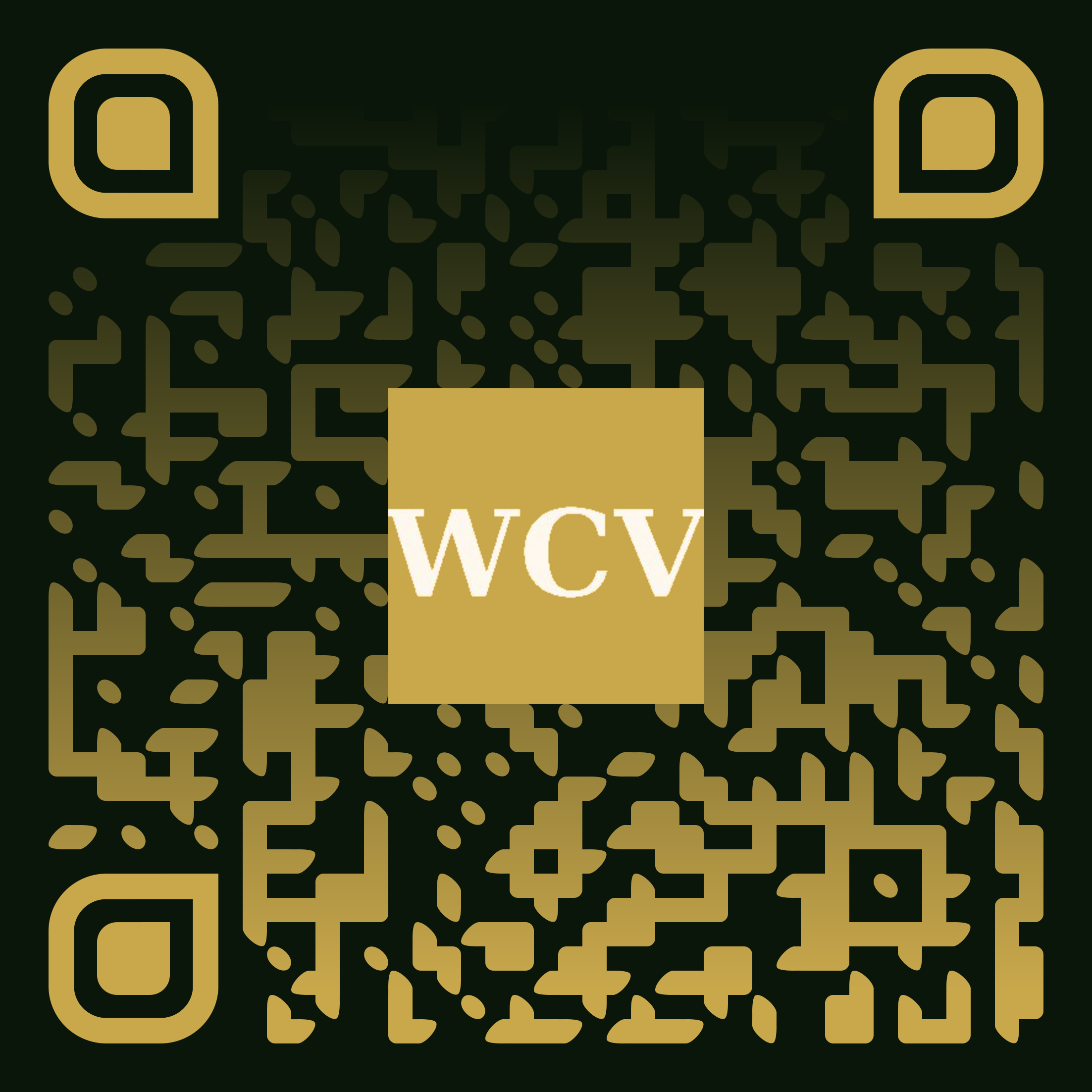 Scan to pay for Copy Vault